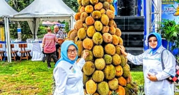 Pesta Durian  di Ajang Festival Calourful Muara  Enim  2021 