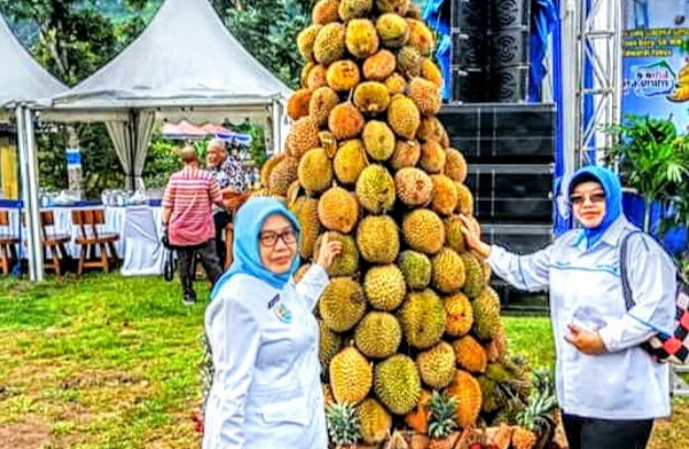 Pesta Durian di Ajang Festival Calourful Muara Enim 2019