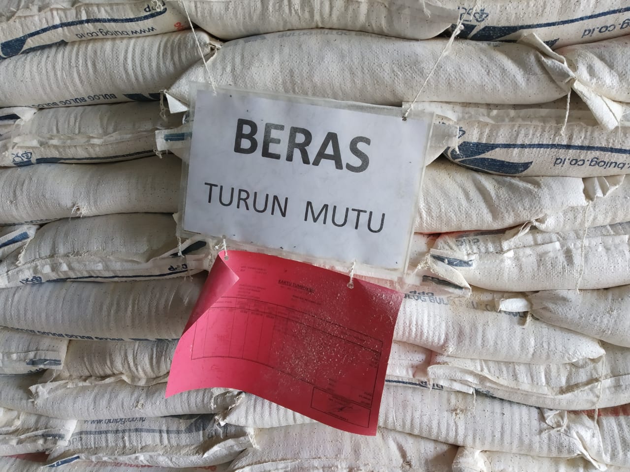 Dibeli Rp 8000 Perkilo dari Mitra, 6000 Ton Beras Bulog Rusak