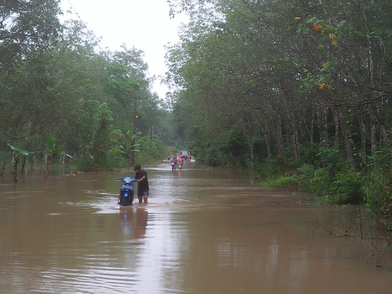 Banjir Setinggi 50 Sentimeter Rendam Jalan Poros Desa Wana Bakti