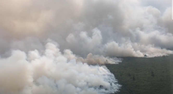 Dari 1.693 Hektar Lahan Terbakar di Sumsel, Kabupaten Muba Terparah Karhutlah