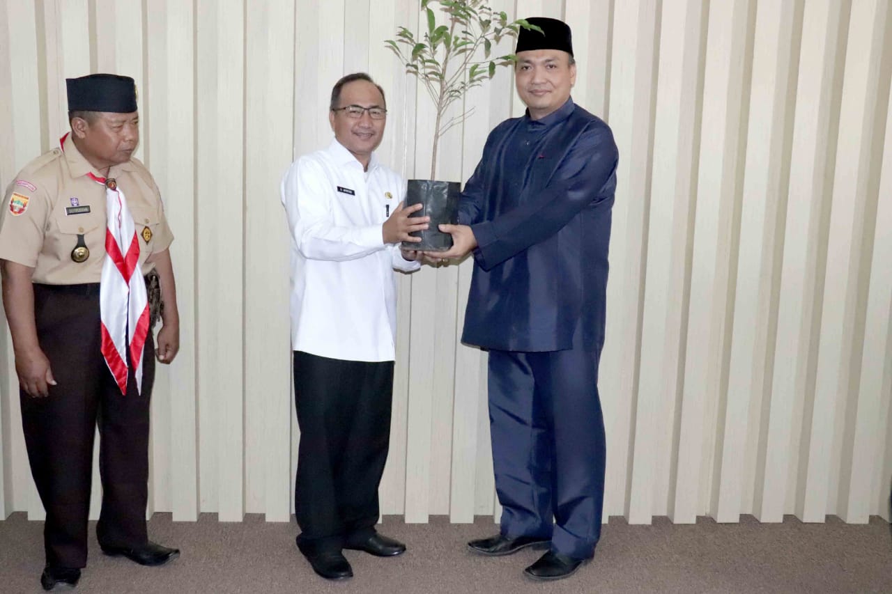 Muba Terima 15.000 Batang Bibit Pohon dari Yayasan Malaya