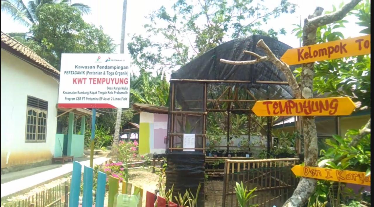 Wanita Desa Karya Mulia Mamfaatkan Perkarangan Berkat CSR PT Pertamina