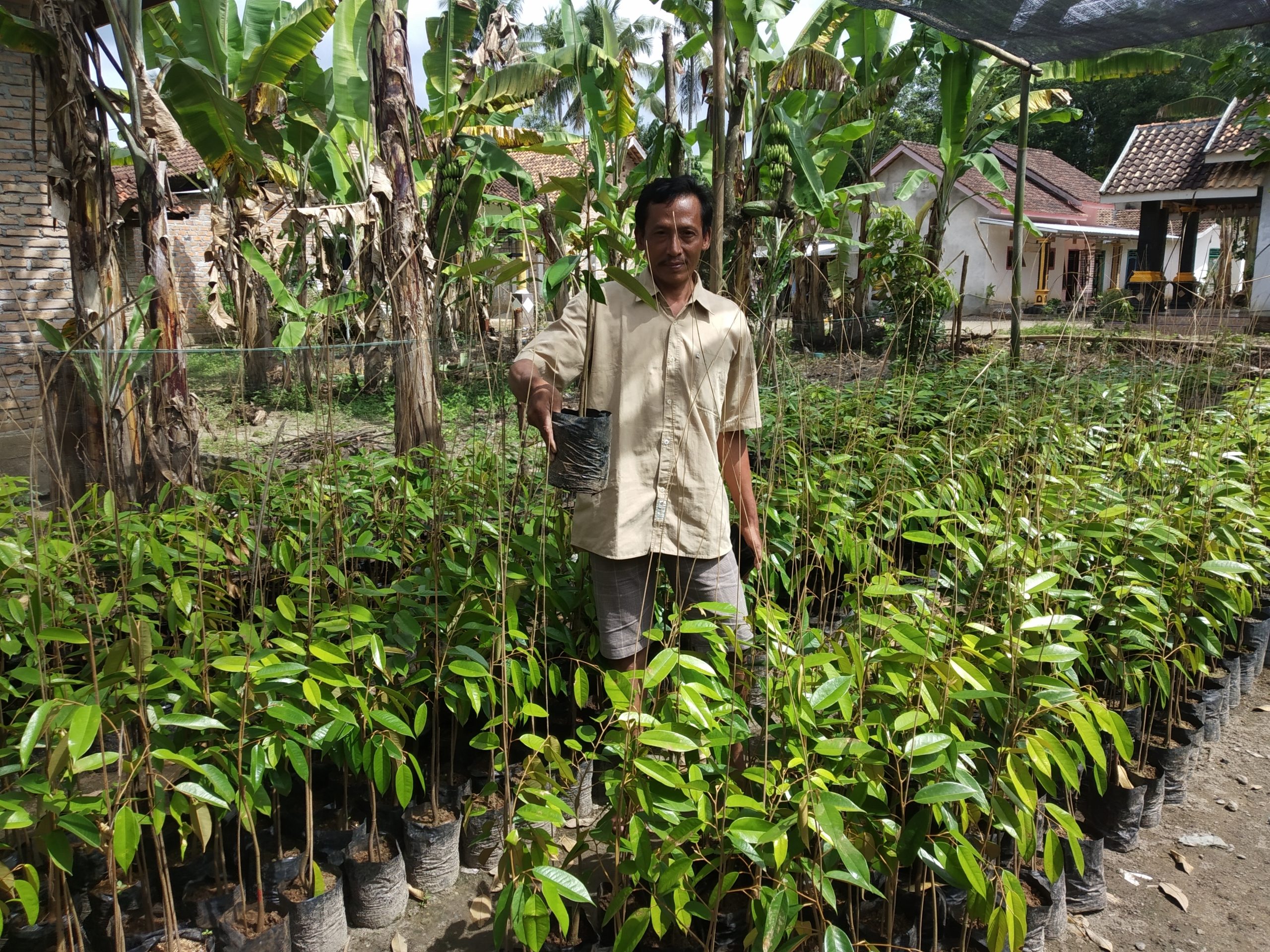 Dari Hobi Menjadi Ladang Usaha, Pria Ini Hasilkan Puluhan Juta Rupiah Dari Penjualan Bibit Durian Unggul