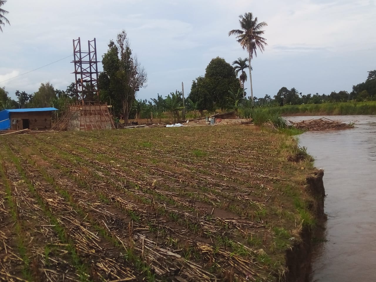 Tanah di Sekitar Pondasi Jembatan Gantung Tanjung Sari Alami Gerusan dan Terancam Kembali Ambruk