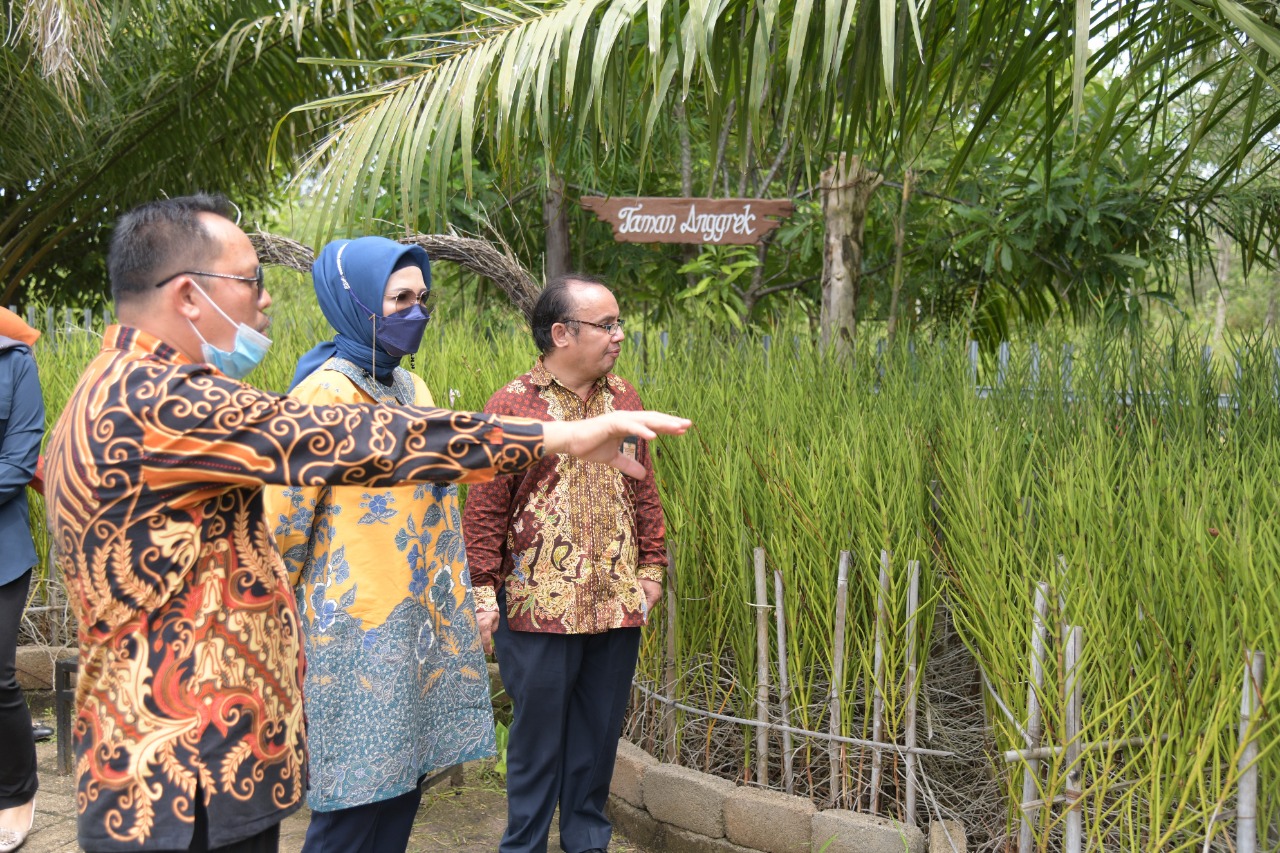 Kunjungi Kebun Raya Sriwijaya, Anita Harapkan Pengelola Lebih Berinovasi