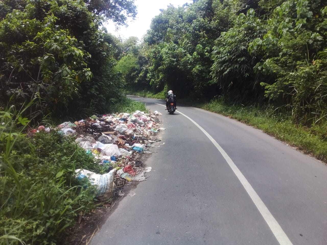 Warga Keluhkan Bau Sampah di Jalan Provinsi
