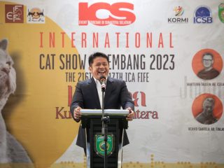 Sumsel  Tuan Rumah  International Cat Show Tahun 2023