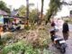 Respon Cepat, BPBD Muba Tuntaskan Pohon Tumbang yang Ganggu Akses Jalan Praja Permai