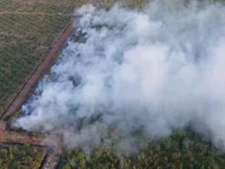 Sekitar Lima Hektar Lahan di Muara Enim Terbakar